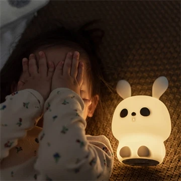 Introduktion till Little Night Light